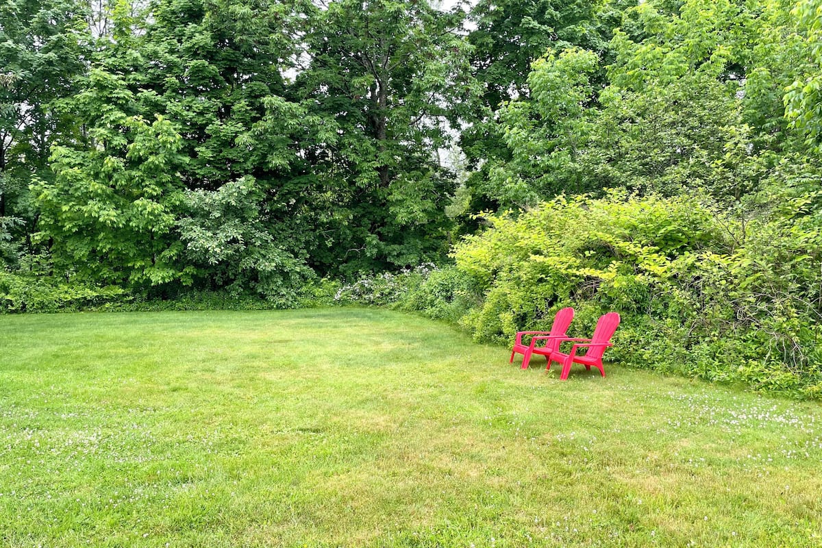 Stuga Premium - kök - havsutsikt | Utsikt mot trädgården