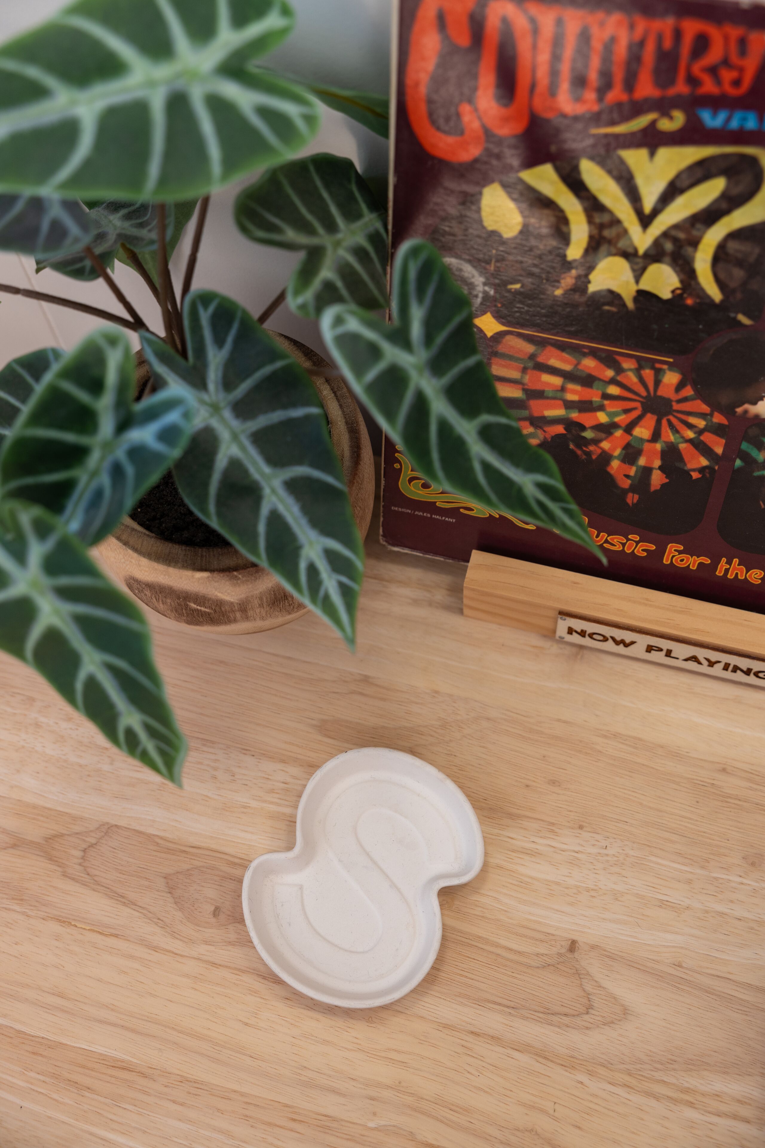 A wooden table with a potted plant, a white object, and a book titled "Country Music for the Young".