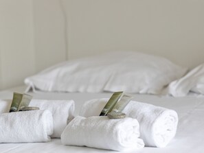 Baignoire, séchoir à cheveux, serviettes fournies