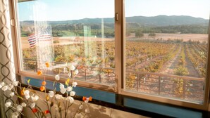 A view from a window with a vineyard in the background, a flag, and flowers in the foreground. - Be Suite Vineyard Retreat (Paso Robles)