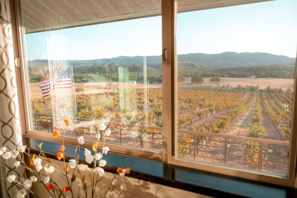 Interior - Be Suite Vineyard Retreat (Paso Robles)