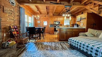 TV, fireplace, books