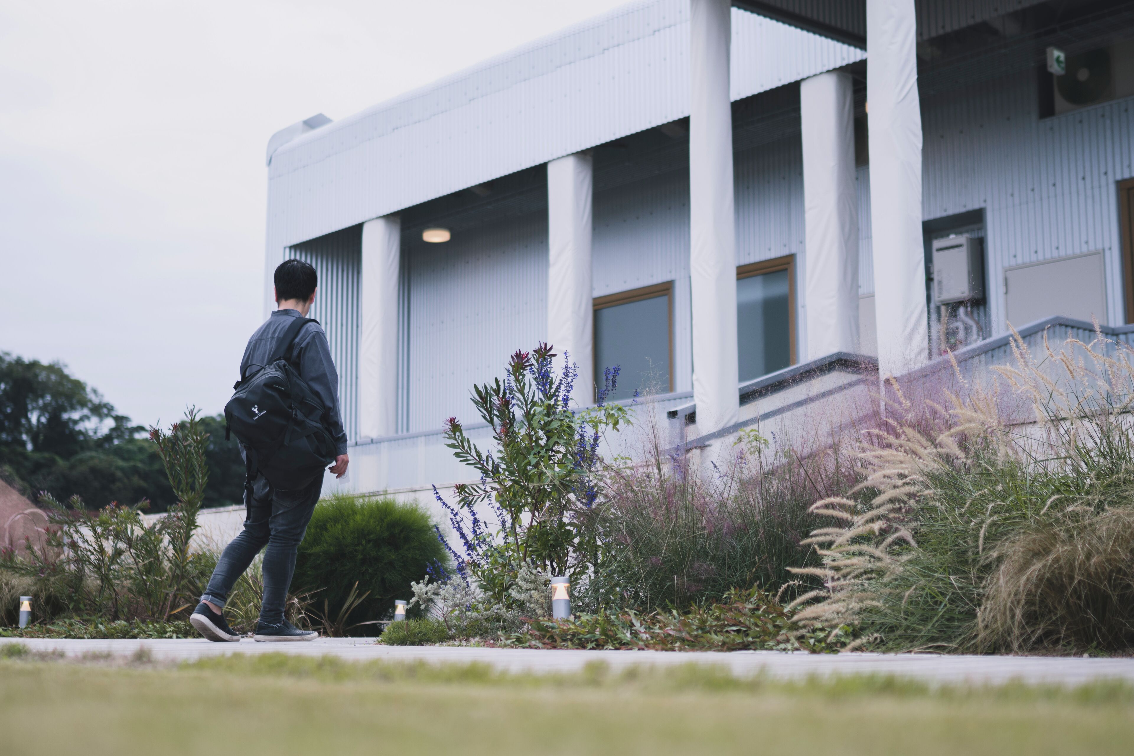 A person walking towards a modern building with large columns and a flat roof.