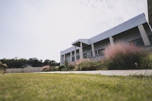 Teras/patio