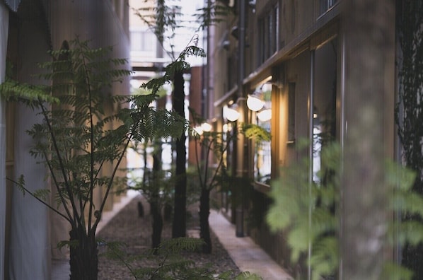 Accommodatievoorziening