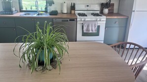 Een keuken met een houten tafel, een kamerplant, een fornuis en een gootsteen.