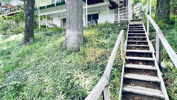 A wooden staircase leading to a building with a green roof, surrounded by trees and greenery. - Cozy little lake cottage on Buck Lake!  (Vandalia)