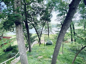 Un paisaje natural con árboles, un sendero de madera y vistas a un lago.