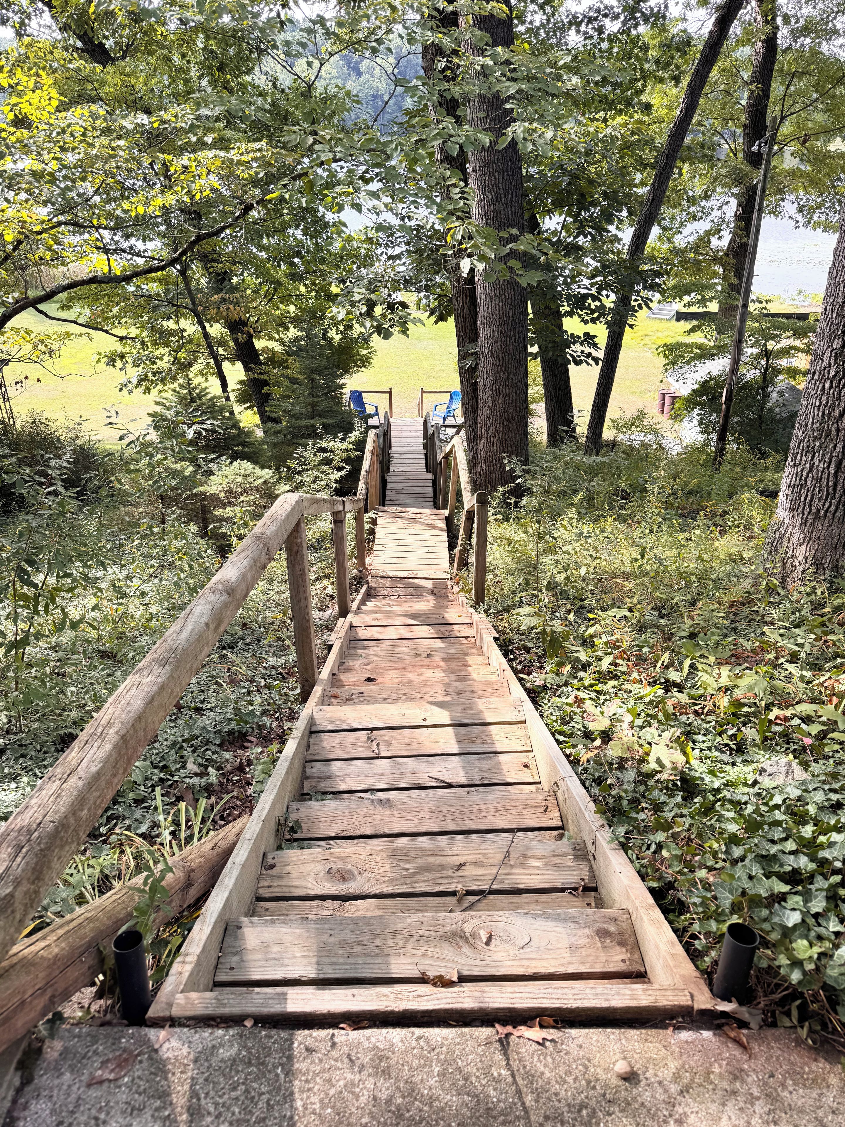A wooden pathway leading to a seating area with chairs, surrounded by trees and greenery.