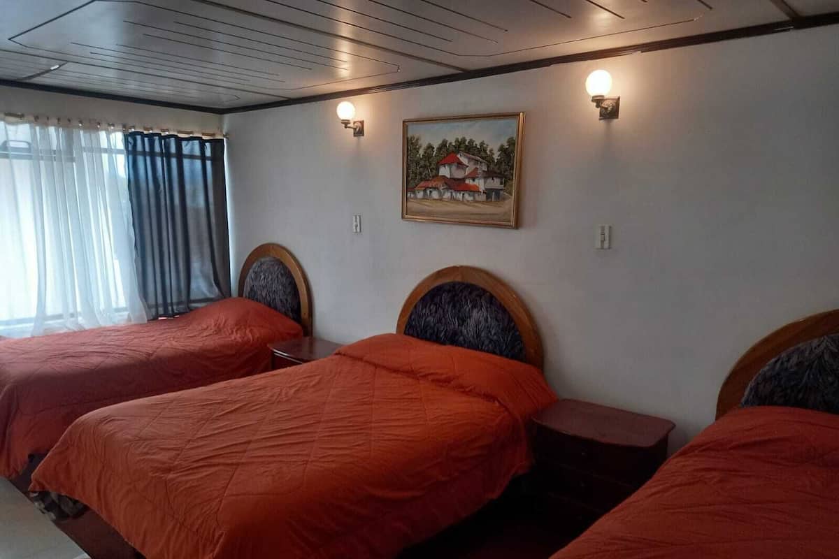 Executive Triple Room | 1 bedroom, iron/ironing board, free WiFi, bed sheets