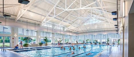 Una piscina interior con techos altos y ventanas amplias.