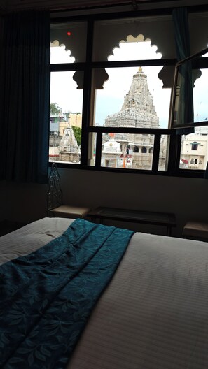View from room - Hotel Baba Palace (Udaipur)