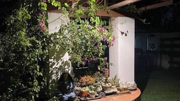 Deluxe Studio Suite | Terrace/patio