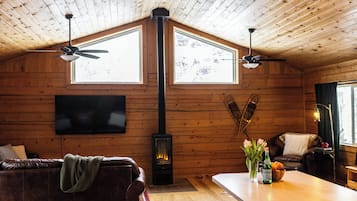 Smart TV, fireplace, books, stereo