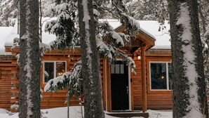 Una cabaña de madera con una entrada oscura, rodeada de árboles cubiertos de nieve.