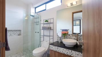 Shower, hair dryer, towels, soap