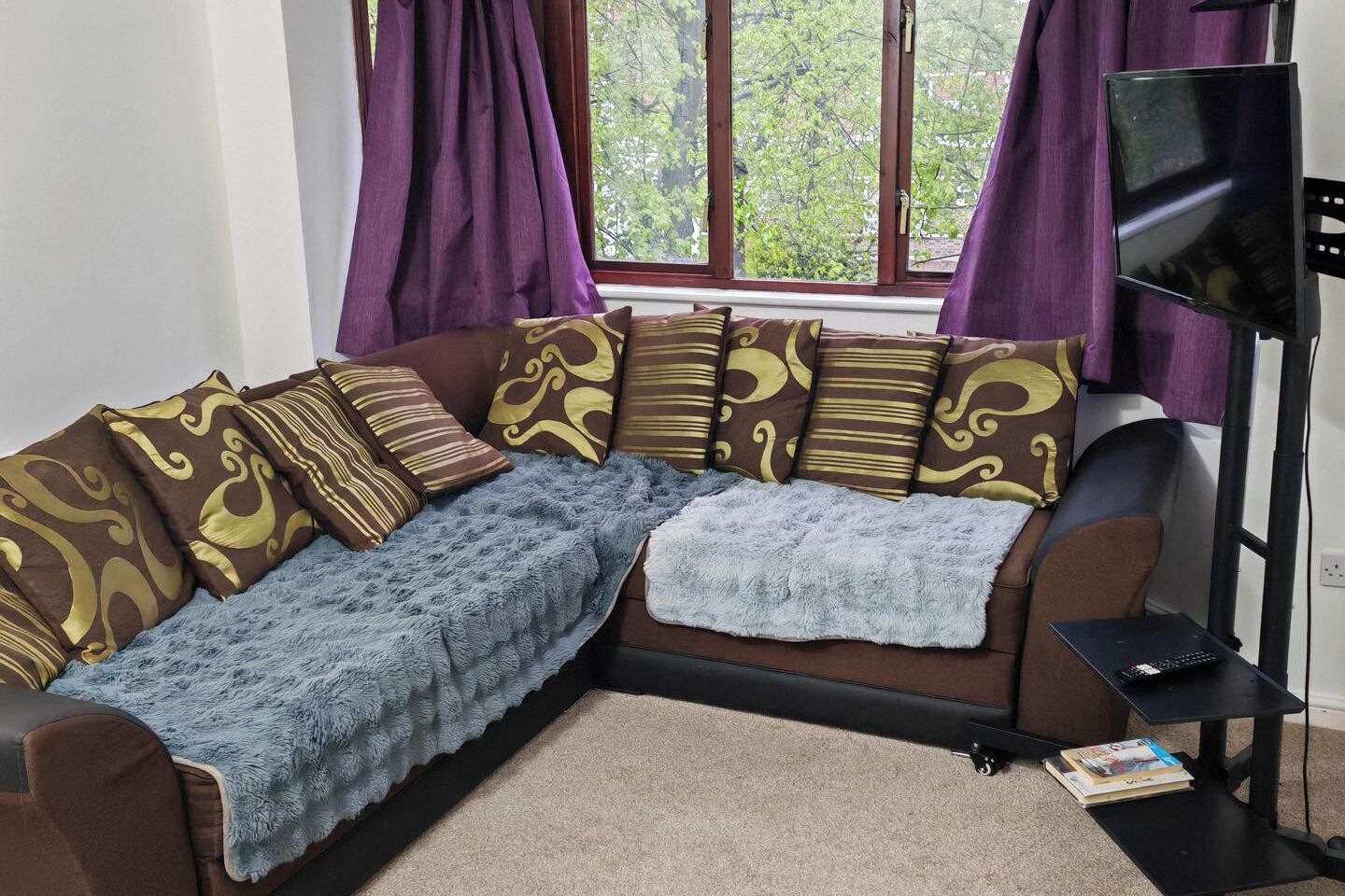 テレビ、ステレオ