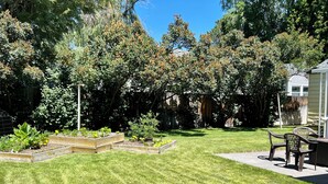 A backyard with a well-maintained lawn, raised garden beds, and a patio area with outdoor furniture. - Cozy Cottage in Downtown Redmond (Redmond)