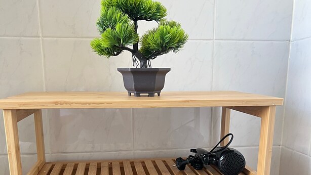 Une étagère en bois sur laquelle se trouvent un bonsaï, un sèche-cheveux et des articles de toilette, notamment un gel lavant, une lotion pour le corps et du papier toilette.