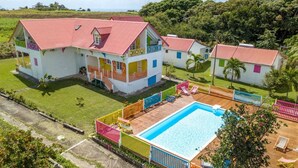 Exterior - Blue or yellow hummingbirds (Capesterre-de-Marie-Galante)