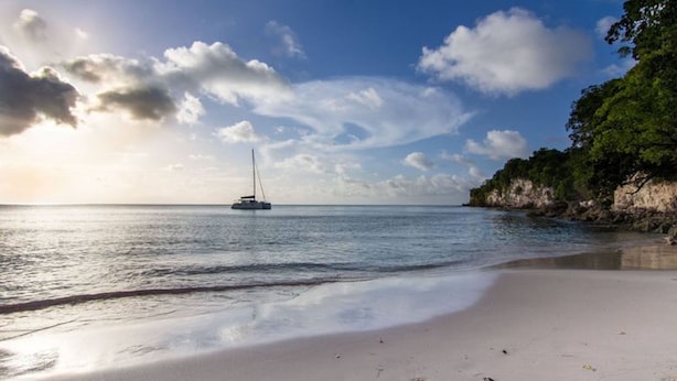 Beach - Blue or yellow hummingbirds (Capesterre-de-Marie-Galante)