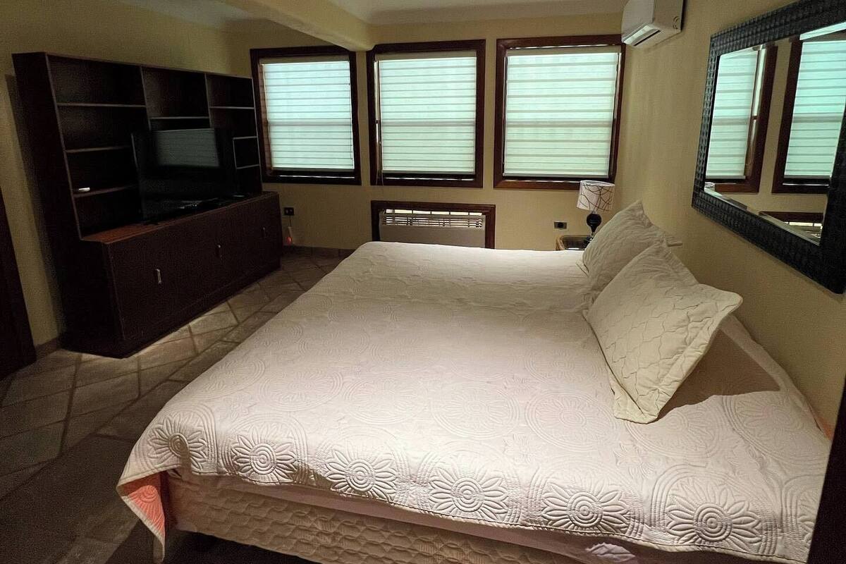 Une chambre à coucher avec un lit, un téléviseur posé sur un meuble et trois fenêtres équipées de stores.