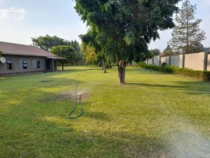 إطلالة على الفناء