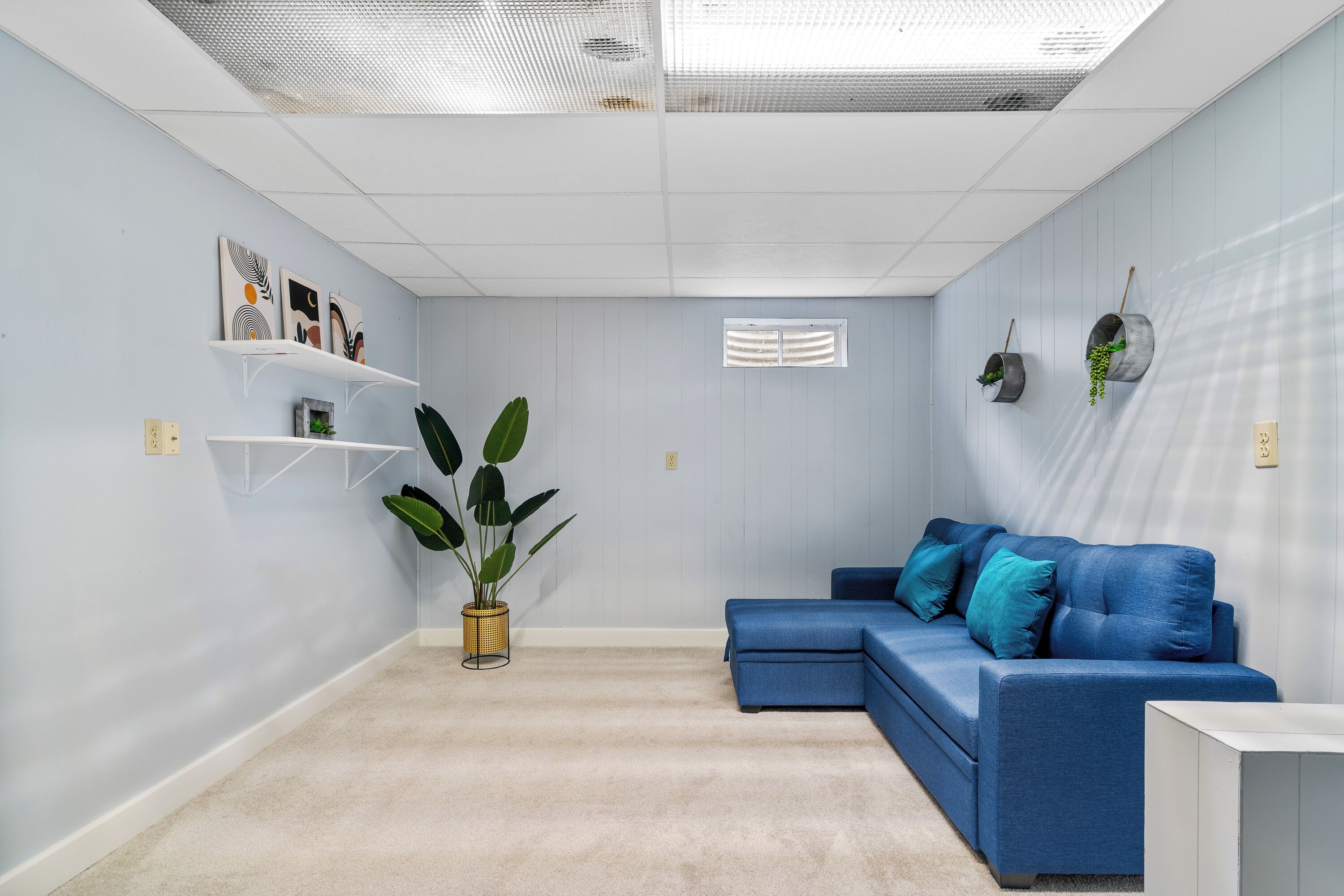 A modern living room with a blue sectional sofa, a small white side table, and a large potted plant.