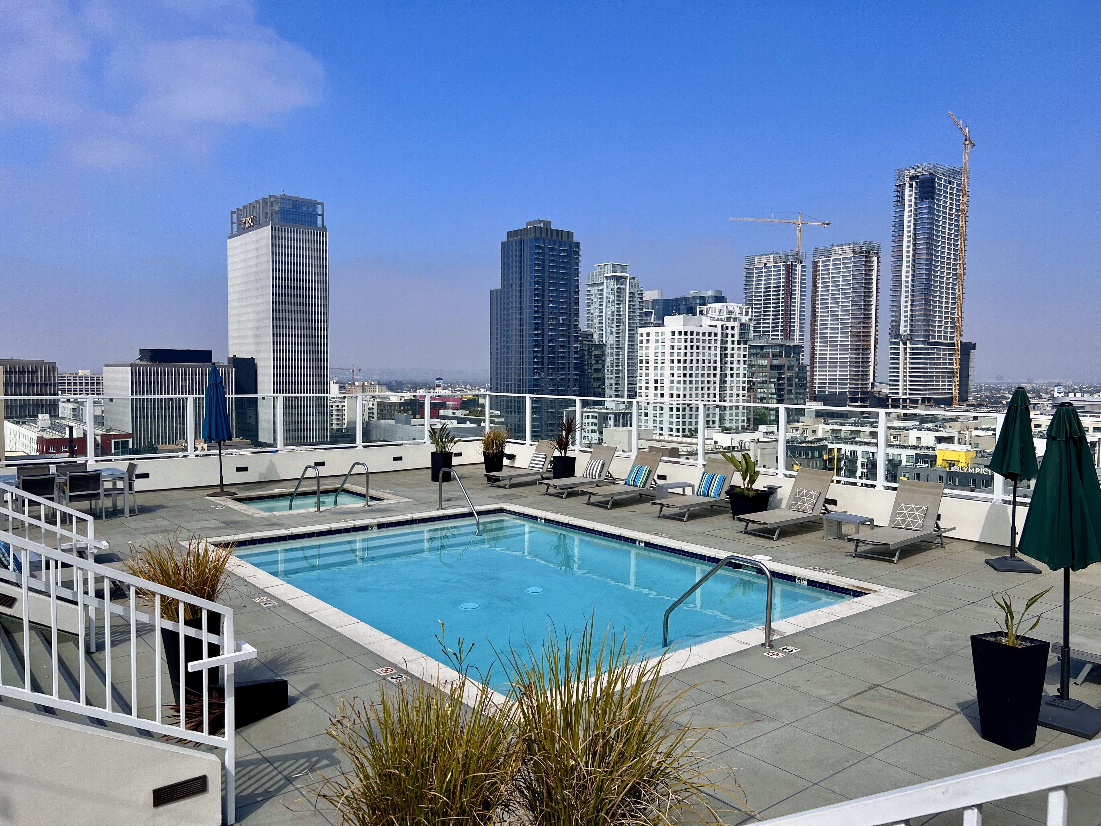A rooftop pool with lounge chairs and potted plants, overlooking a cityscape with high-rise buildings.