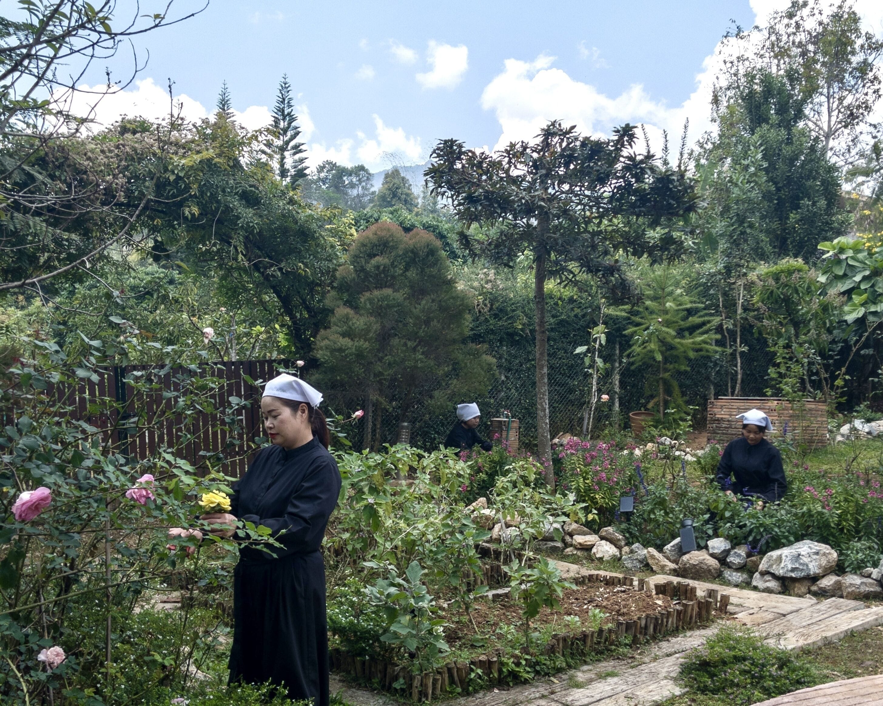 Un jardín con diversas plantas y flores, una cerca de madera y un sendero de piedra.