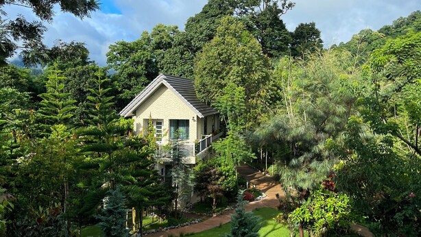 A house surrounded by dense forest, with a visible pathway leading to the entrance.