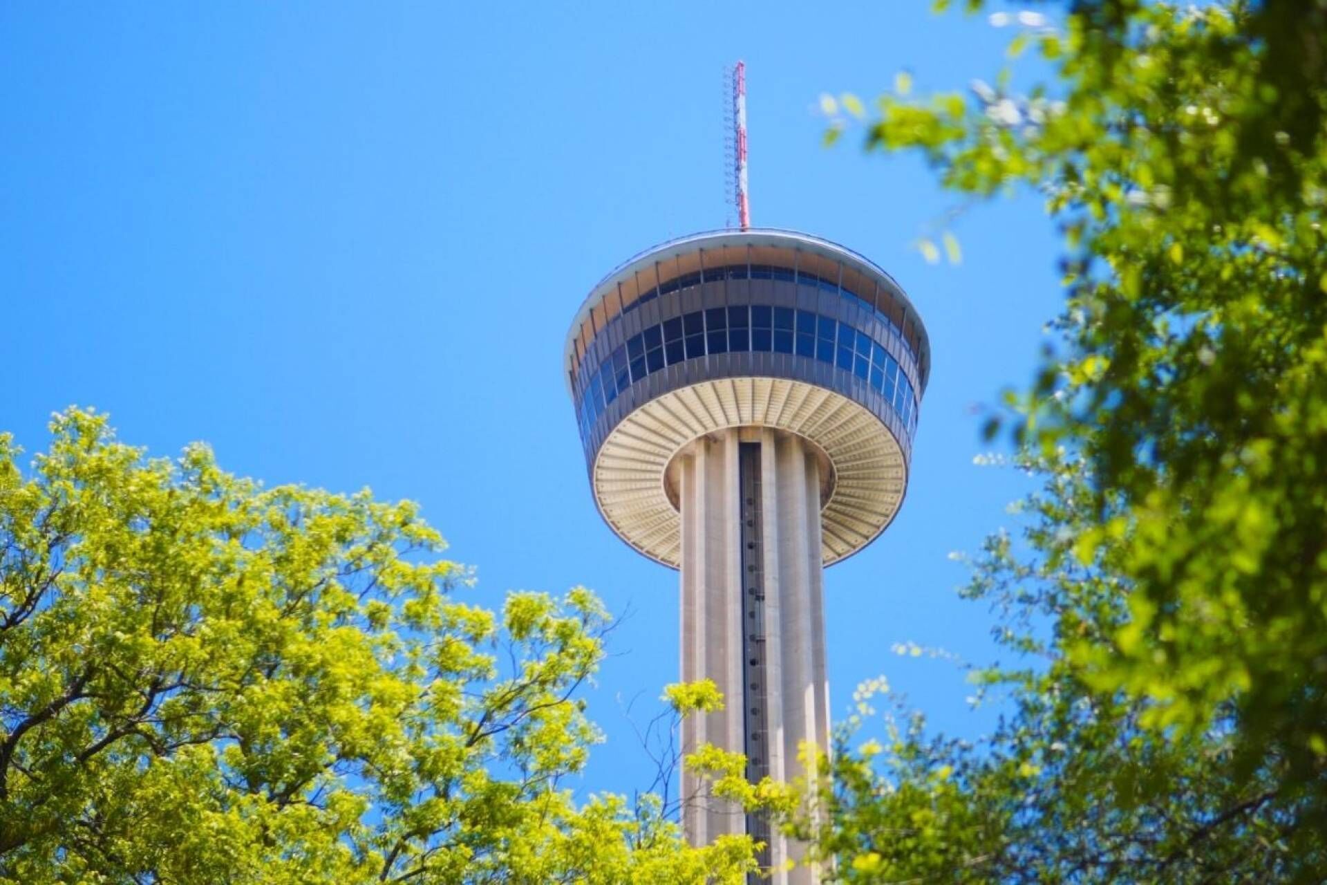 A tower with a circular observation deck and a spire, surrounded by trees.