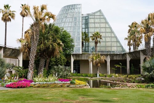 Free Fun Included | Near Zoo, Pearl & Riverwalk | Charming Historic Casa in Midtown by Trinity