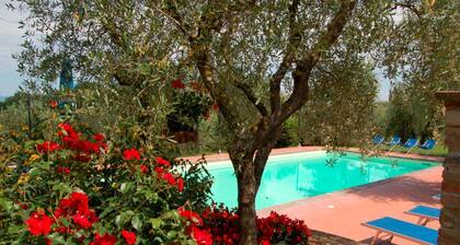 Ancient villa perfect for large groups with swimming pool and large park. Located just outside the v