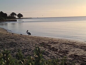 Vlak bij het strand