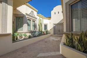 A courtyard with a paved walkway, a white building with green shutters, and various plants.