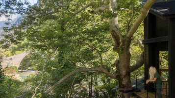 Casa en un árbol | Terraza o patio