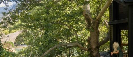 Tree House | Terrace/patio