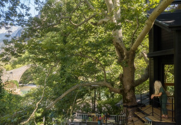 A tree-lined outdoor area with a wooden deck and a stone bridge in the background.