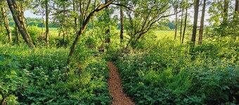 Under Canvas Bornholm