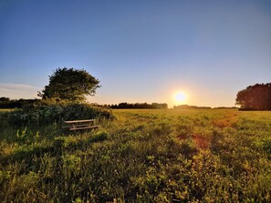 A picnic table in a grassy field with a tree and a clear sky.