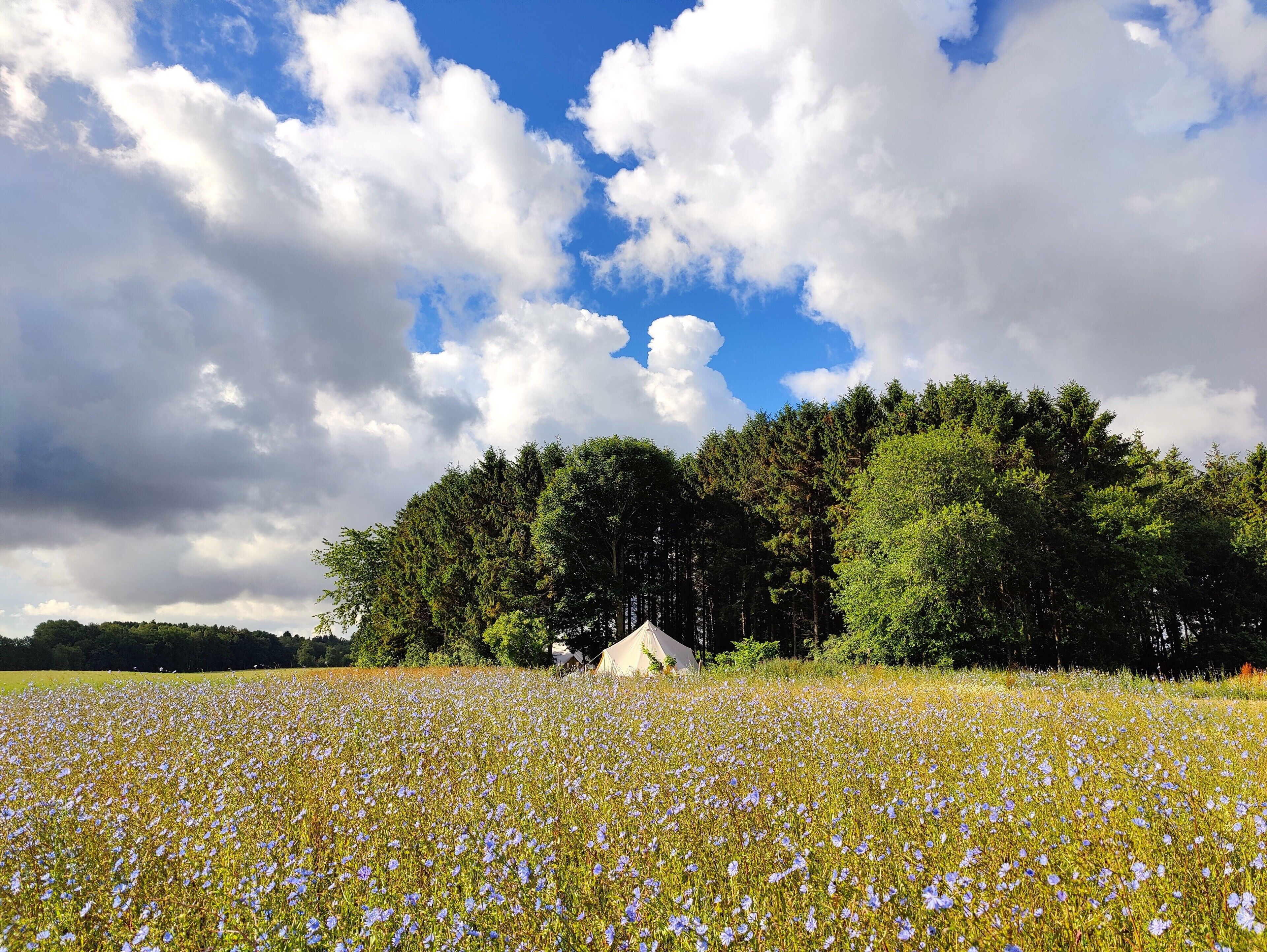 Tienda de lujo | Ropa de cama de alta calidad y colchones con acolchado adicional