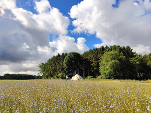 Luxury Tent Marsh Harrier | Premium bedding, pillowtop beds, individually decorated