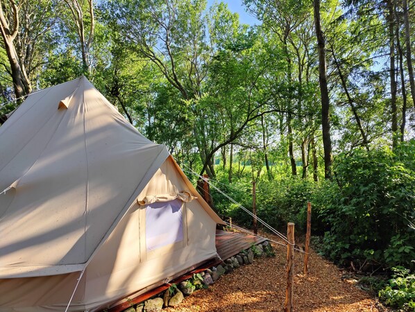 A tent set up in a forested area with a stone pathway leading to it.