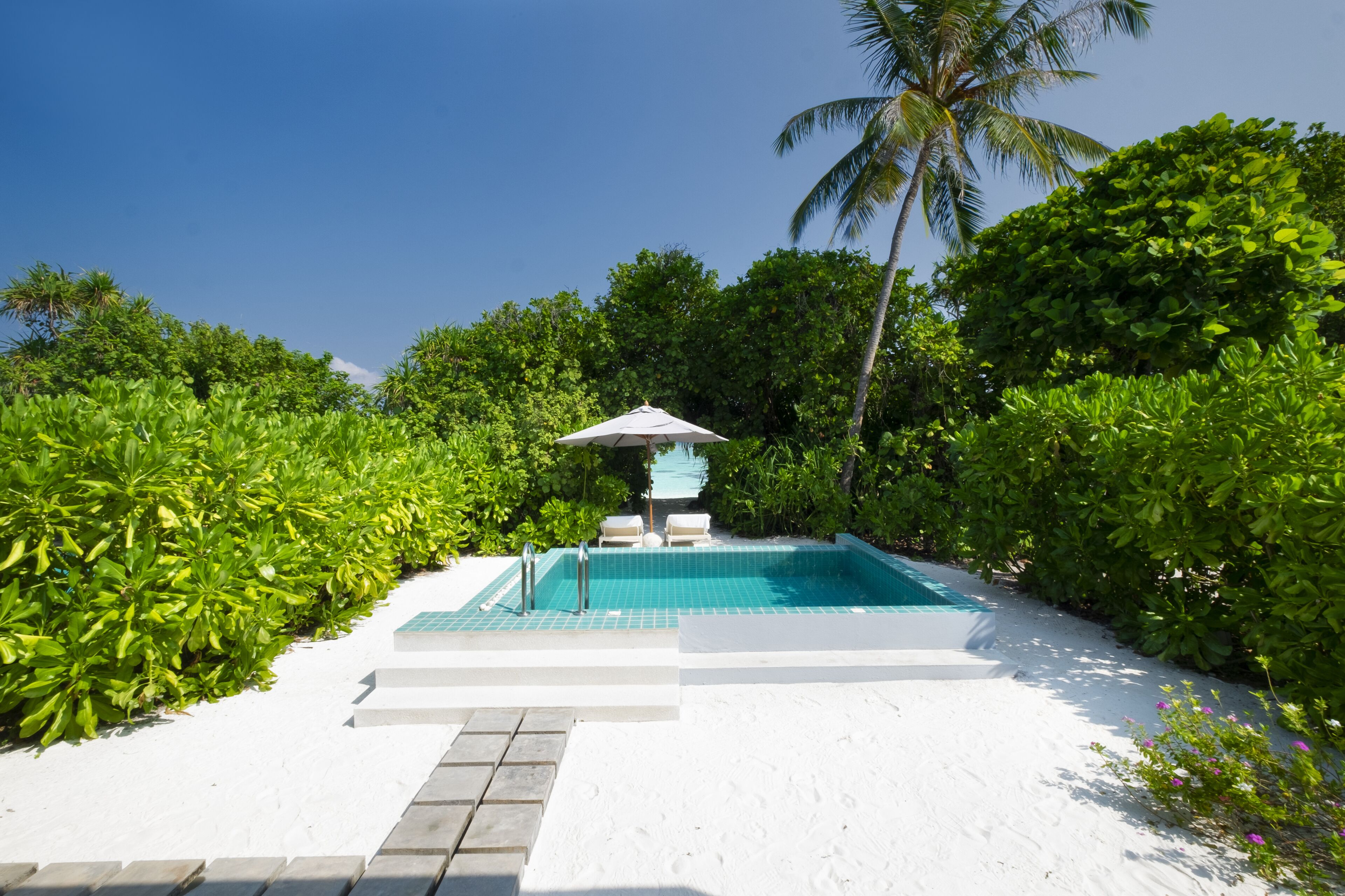 A swimming pool with a white deck, surrounded by lush greenery and palm trees.