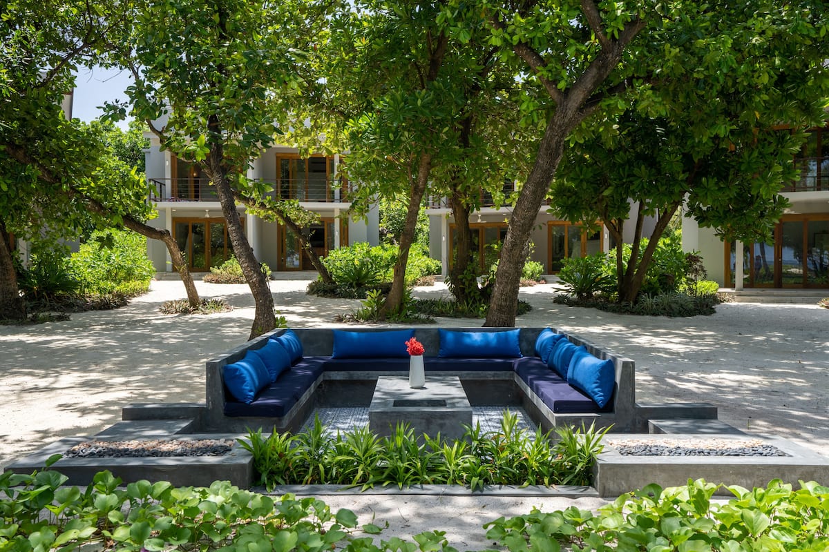 A courtyard with a blue sofa set, a central planter with red flowers, and a building in the background.
