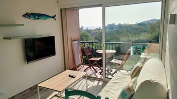 Télévision, table de tennis de table, livres