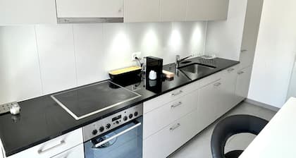 CH Apartment Lausanne Gare
