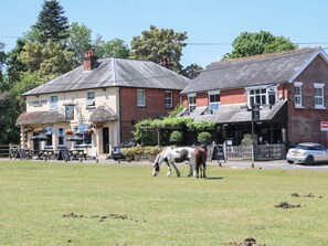 Exterior - Foxes Earth (Salisbury)