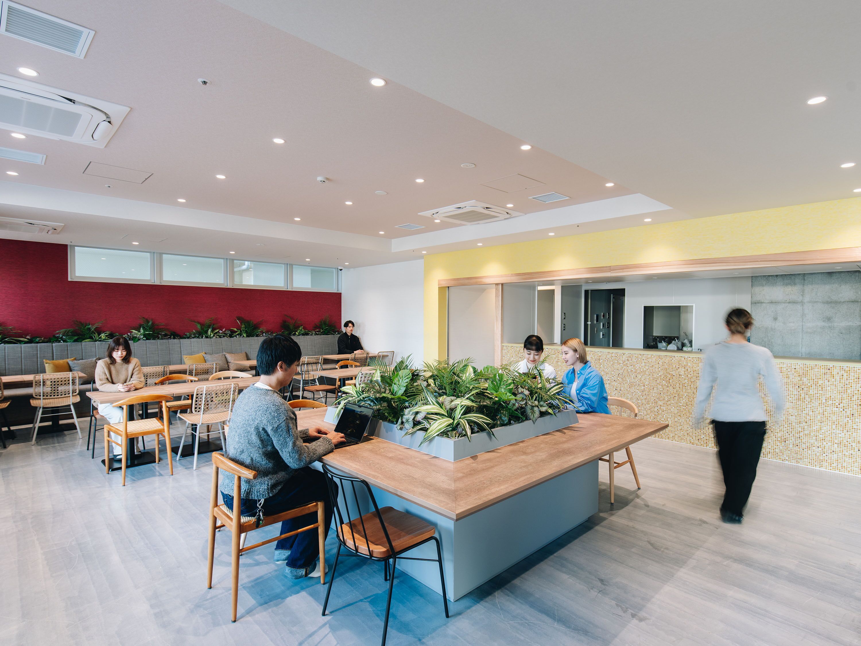 A modern cafe with wooden tables and chairs, a central plant display, and a red accent wall.